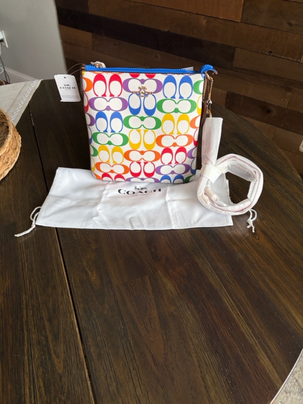 Coach Jes Rainbow 🌈 Collecton - Picture 3 of 15